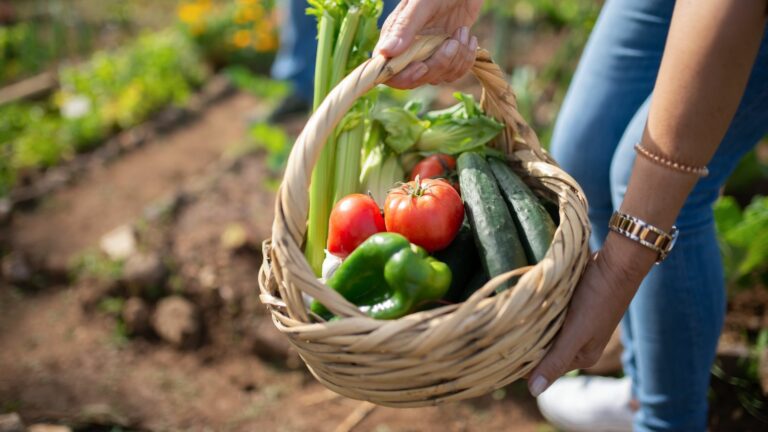 Légumes de saison bio et locaux dans un panier coloré. on voit la terre qui suggère qu'ils viennent d'être récoltés.