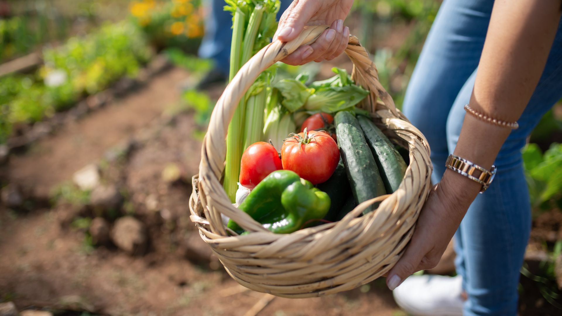 Légumes de saison bio et locaux dans un panier coloré. on voit la terre qui suggère qu'ils viennent d'être récoltés.