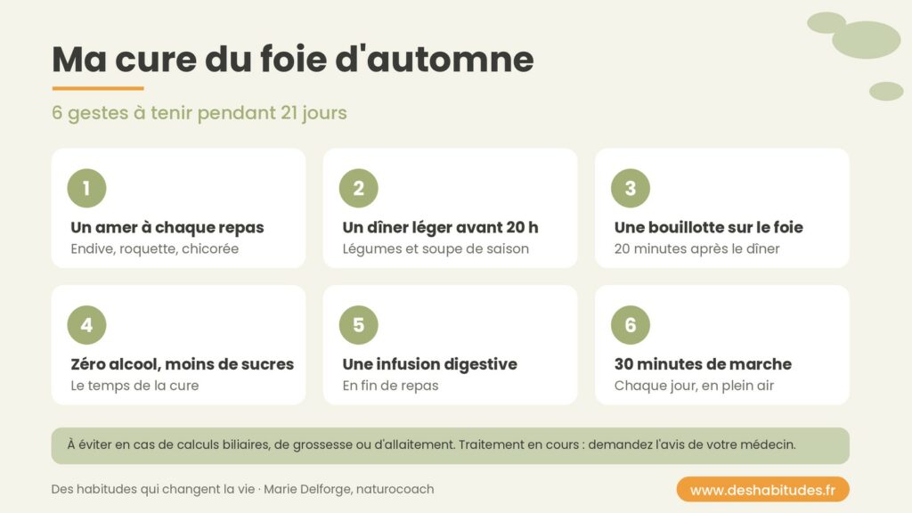 Infographie des 6 gestes d’une cure du foie d’automne sur 21 jours : amers, dîner léger, bouillotte, zéro alcool, infusion, marche
